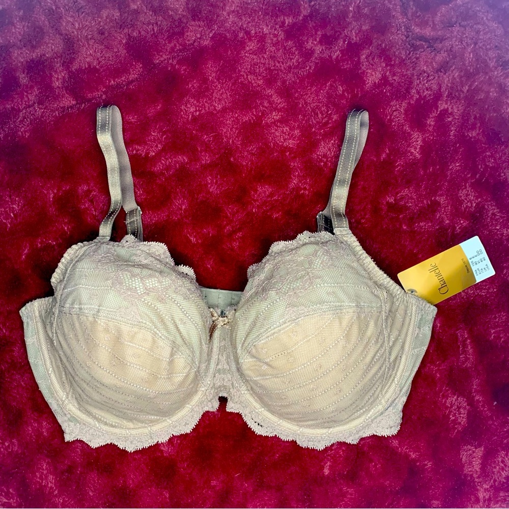 NWT Chantelle lace bra 40DD/E